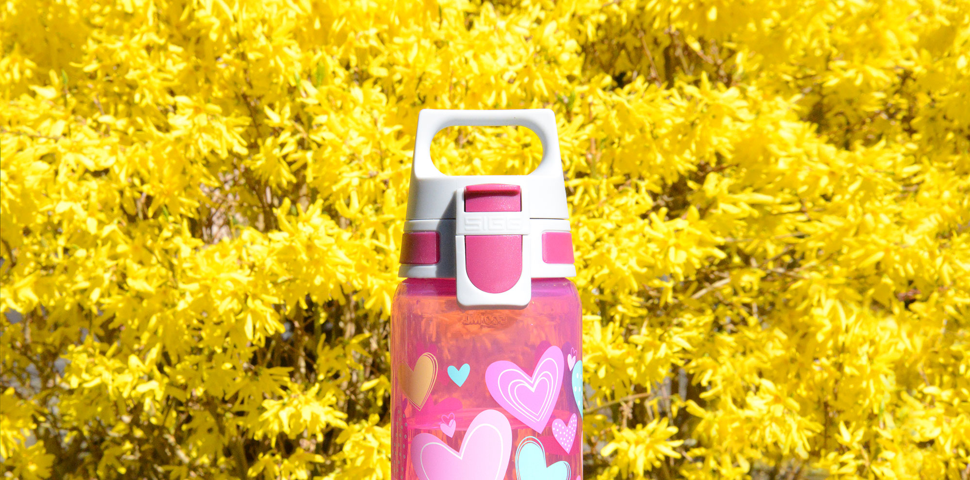 VIVA ONE Everyday Set – Bottle + Hearts Drying Rack